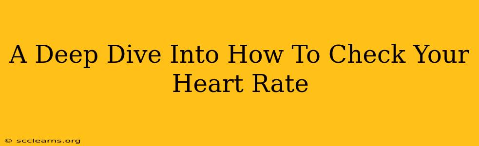 A Deep Dive Into How To Check Your Heart Rate