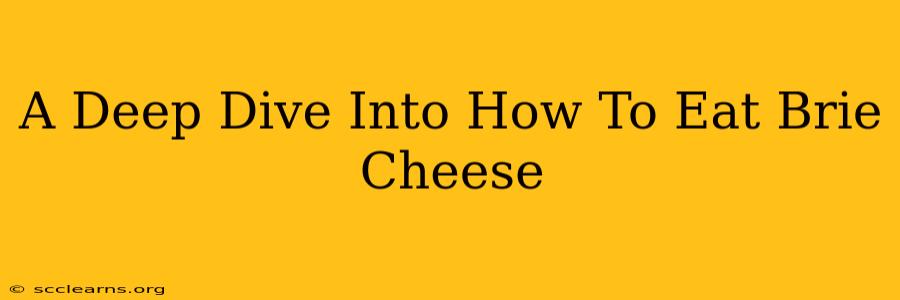 A Deep Dive Into How To Eat Brie Cheese