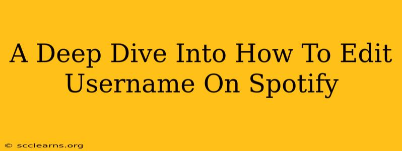 A Deep Dive Into How To Edit Username On Spotify