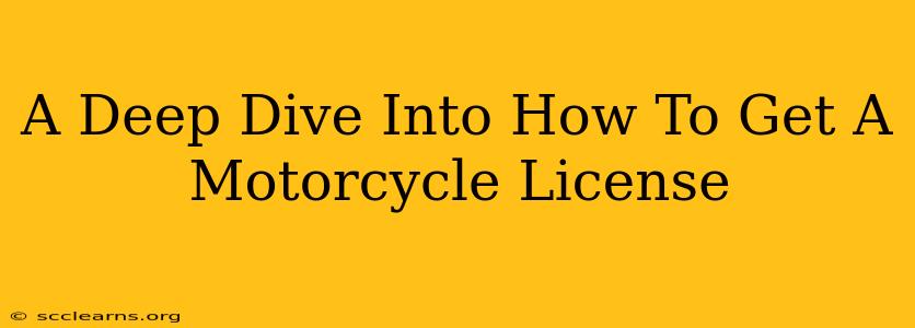 A Deep Dive Into How To Get A Motorcycle License