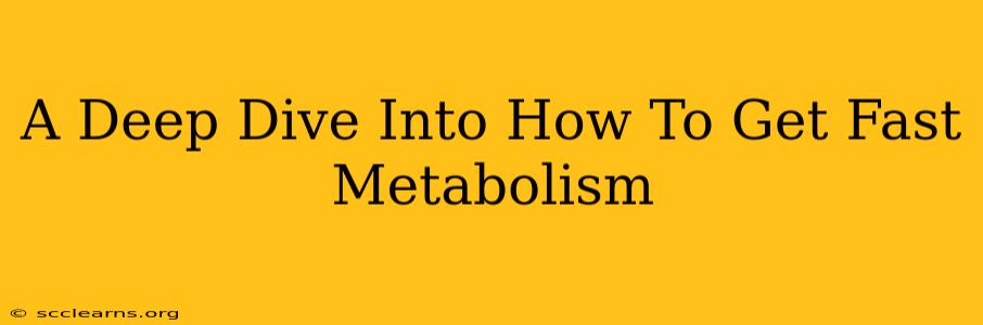 A Deep Dive Into How To Get Fast Metabolism