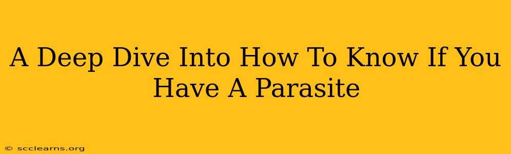 A Deep Dive Into How To Know If You Have A Parasite