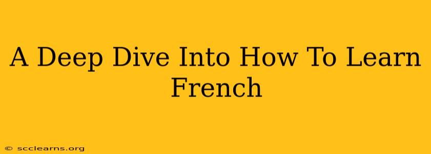 A Deep Dive Into How To Learn French