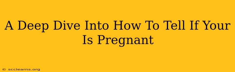 A Deep Dive Into How To Tell If Your Is Pregnant