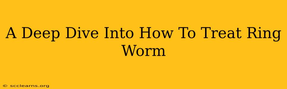 A Deep Dive Into How To Treat Ring Worm