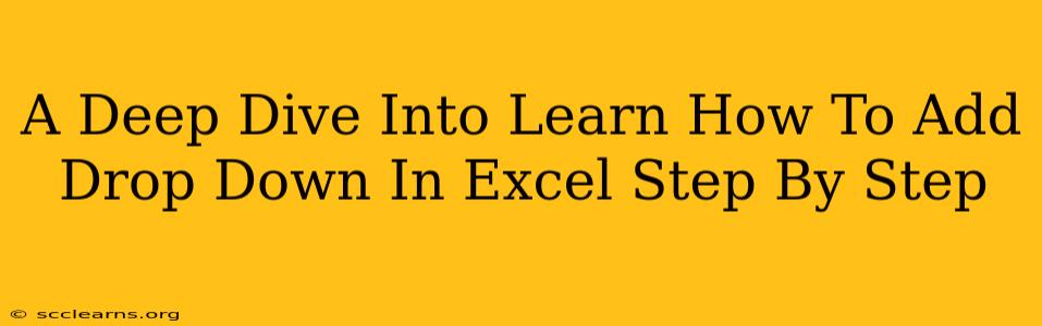 A Deep Dive Into Learn How To Add Drop Down In Excel Step By Step