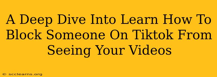 A Deep Dive Into Learn How To Block Someone On Tiktok From Seeing Your Videos