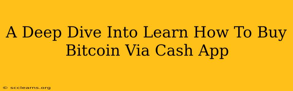 A Deep Dive Into Learn How To Buy Bitcoin Via Cash App