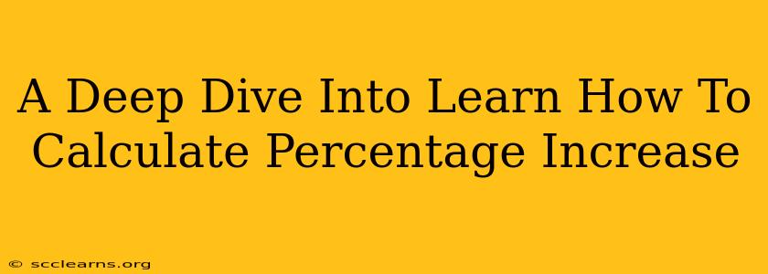 A Deep Dive Into Learn How To Calculate Percentage Increase