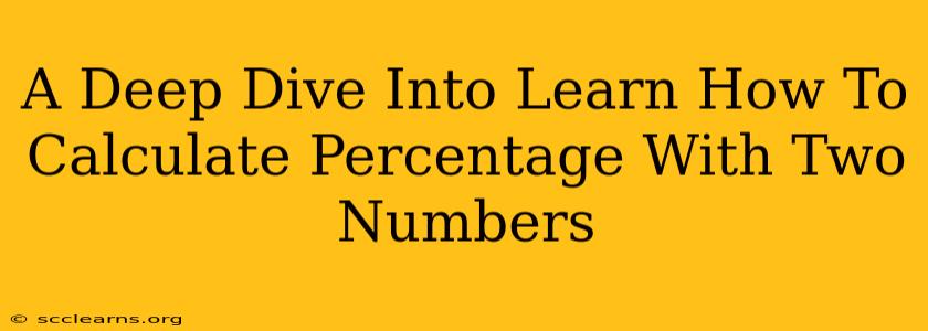 A Deep Dive Into Learn How To Calculate Percentage With Two Numbers