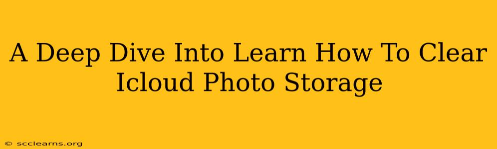 A Deep Dive Into Learn How To Clear Icloud Photo Storage