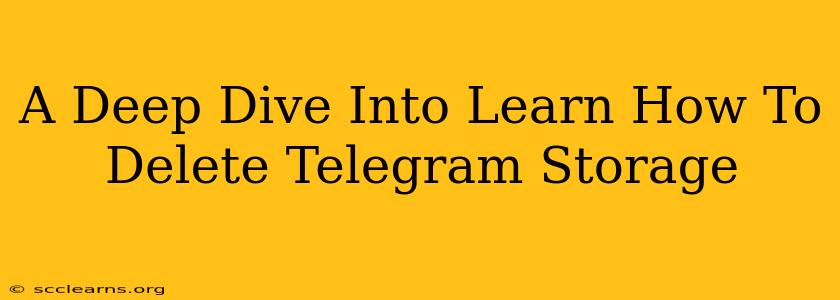 A Deep Dive Into Learn How To Delete Telegram Storage