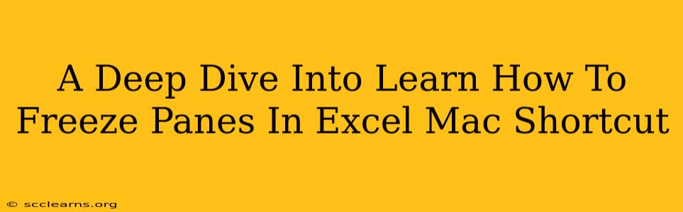 A Deep Dive Into Learn How To Freeze Panes In Excel Mac Shortcut