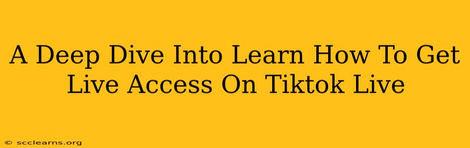 A Deep Dive Into Learn How To Get Live Access On Tiktok Live