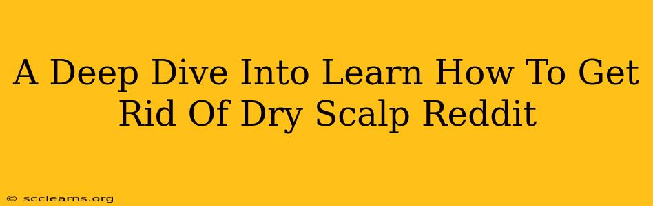 A Deep Dive Into Learn How To Get Rid Of Dry Scalp Reddit