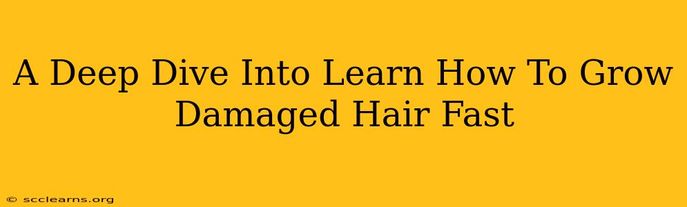 A Deep Dive Into Learn How To Grow Damaged Hair Fast