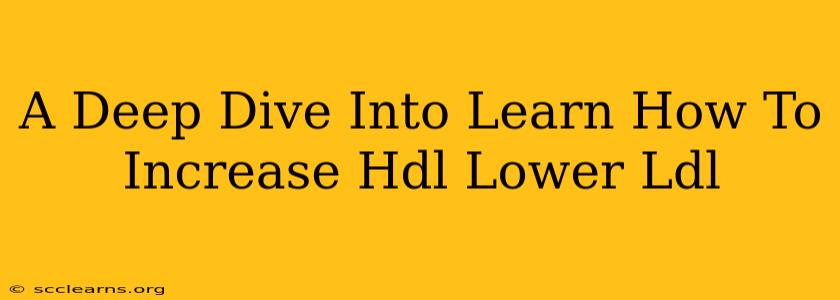 A Deep Dive Into Learn How To Increase Hdl Lower Ldl