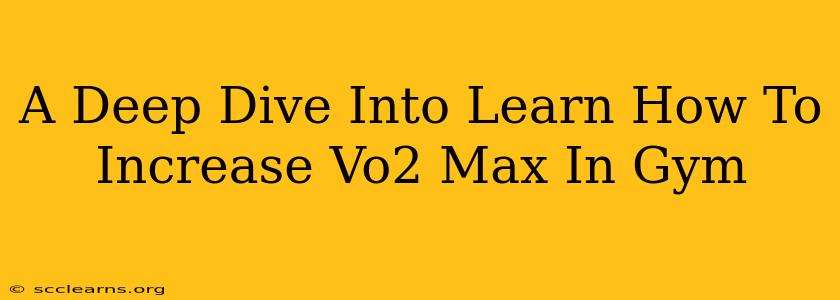 A Deep Dive Into Learn How To Increase Vo2 Max In Gym