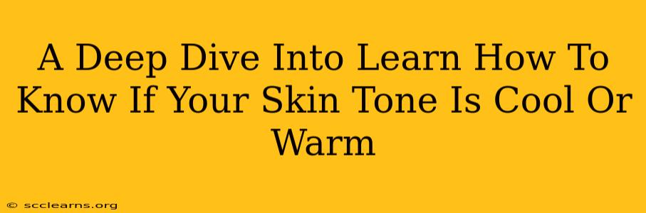 A Deep Dive Into Learn How To Know If Your Skin Tone Is Cool Or Warm