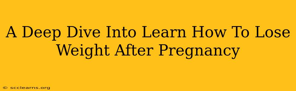 A Deep Dive Into Learn How To Lose Weight After Pregnancy