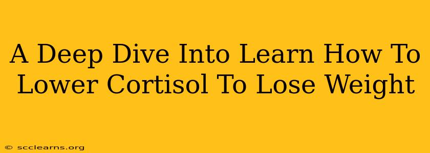 A Deep Dive Into Learn How To Lower Cortisol To Lose Weight