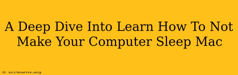 A Deep Dive Into Learn How To Not Make Your Computer Sleep Mac