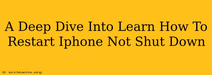 A Deep Dive Into Learn How To Restart Iphone Not Shut Down