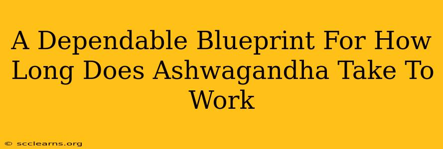 A Dependable Blueprint For How Long Does Ashwagandha Take To Work