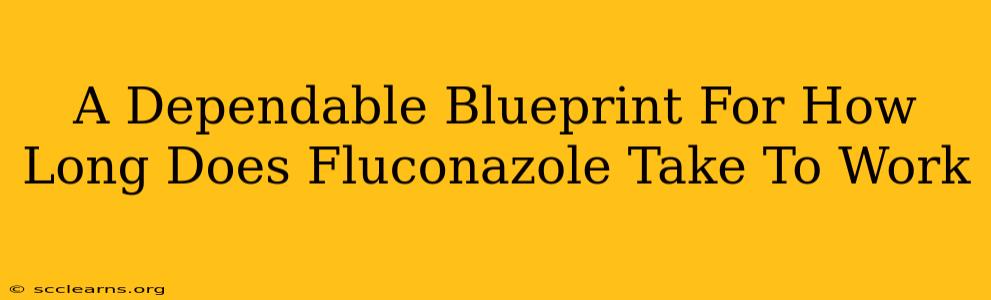 A Dependable Blueprint For How Long Does Fluconazole Take To Work