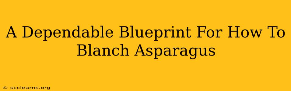 A Dependable Blueprint For How To Blanch Asparagus