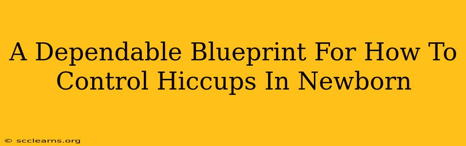 A Dependable Blueprint For How To Control Hiccups In Newborn