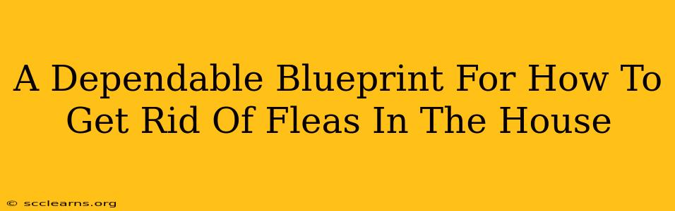 A Dependable Blueprint For How To Get Rid Of Fleas In The House