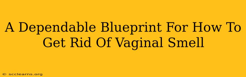 A Dependable Blueprint For How To Get Rid Of Vaginal Smell