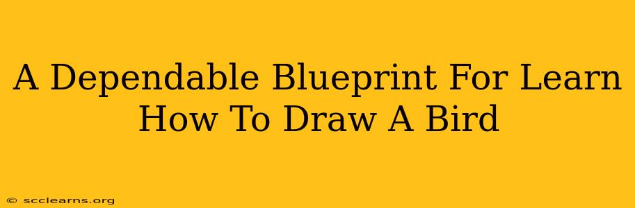 A Dependable Blueprint For Learn How To Draw A Bird