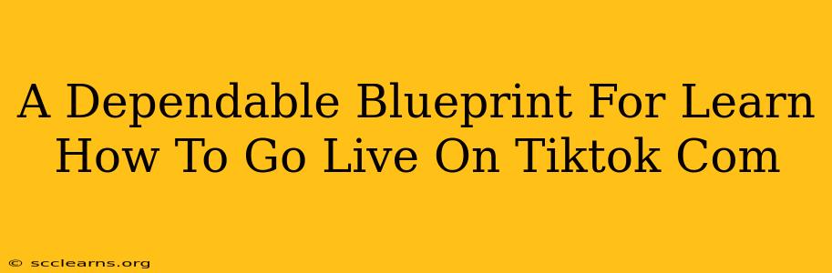 A Dependable Blueprint For Learn How To Go Live On Tiktok Com