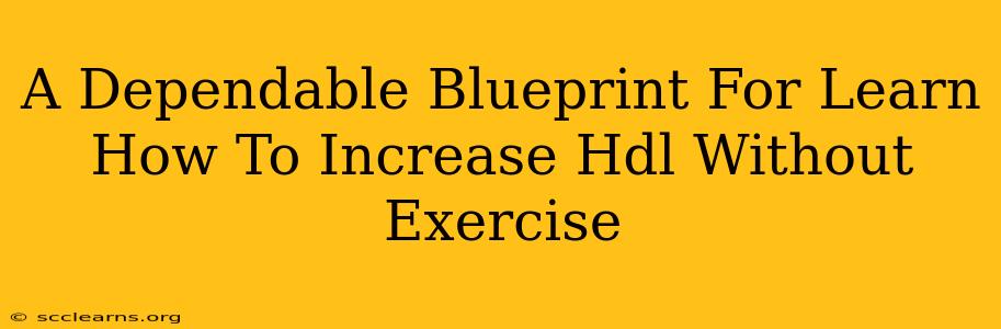 A Dependable Blueprint For Learn How To Increase Hdl Without Exercise