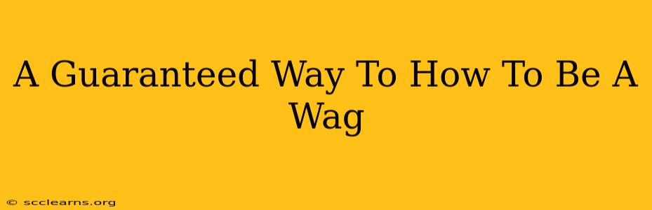 A Guaranteed Way To How To Be A Wag