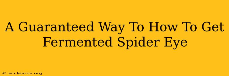 A Guaranteed Way To How To Get Fermented Spider Eye