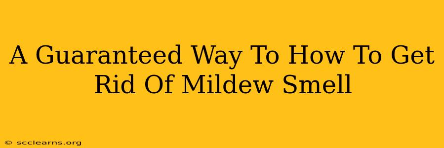 A Guaranteed Way To How To Get Rid Of Mildew Smell