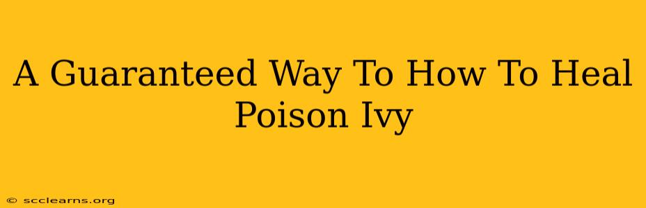 A Guaranteed Way To How To Heal Poison Ivy