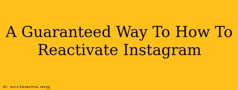 A Guaranteed Way To How To Reactivate Instagram