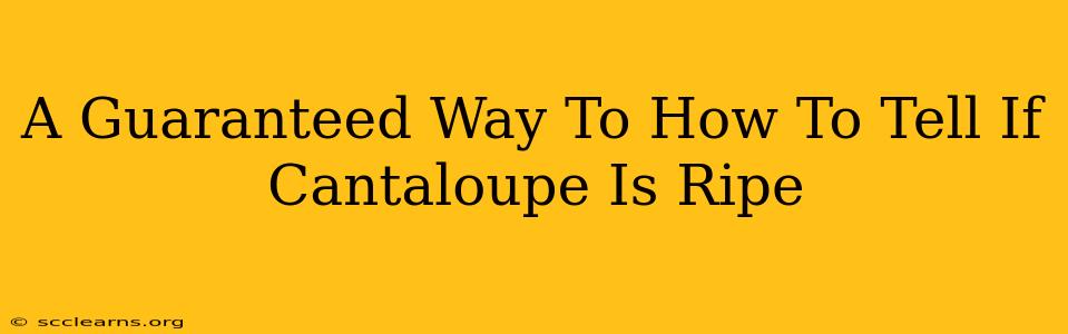 A Guaranteed Way To How To Tell If Cantaloupe Is Ripe