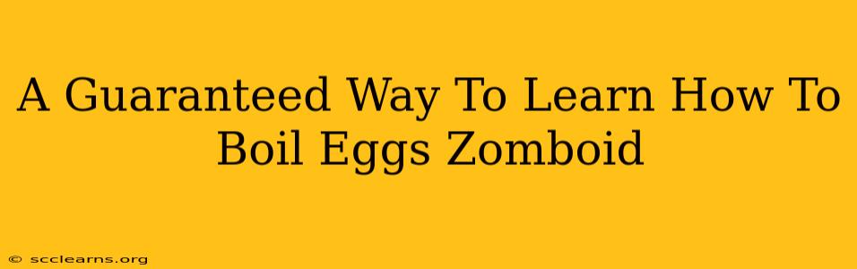 A Guaranteed Way To Learn How To Boil Eggs Zomboid