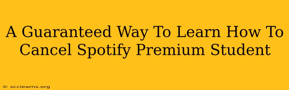 A Guaranteed Way To Learn How To Cancel Spotify Premium Student