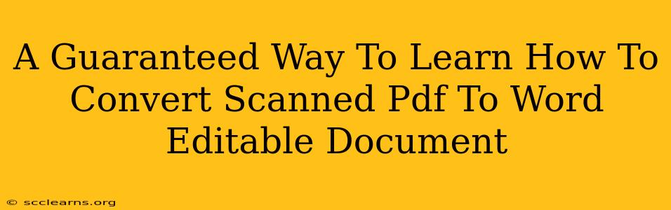 A Guaranteed Way To Learn How To Convert Scanned Pdf To Word Editable Document