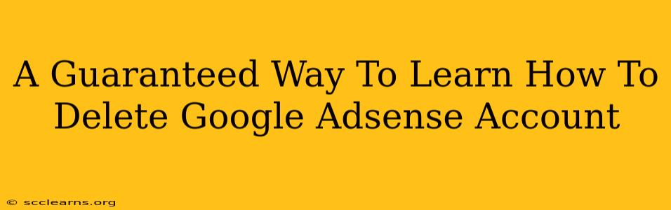 A Guaranteed Way To Learn How To Delete Google Adsense Account