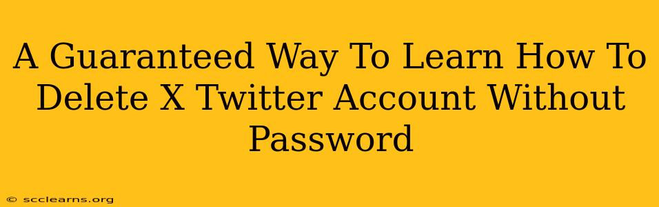 A Guaranteed Way To Learn How To Delete X Twitter Account Without Password