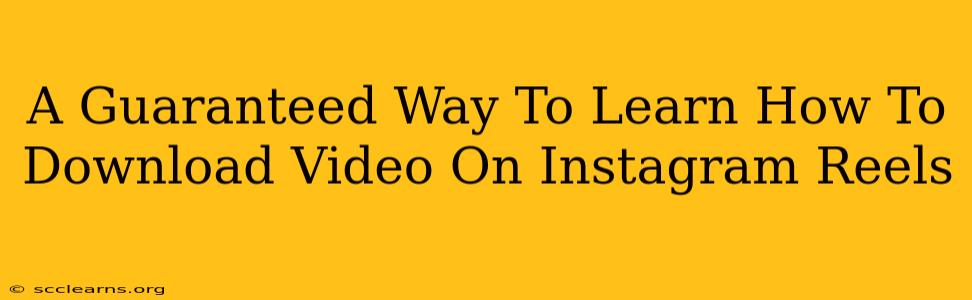 A Guaranteed Way To Learn How To Download Video On Instagram Reels