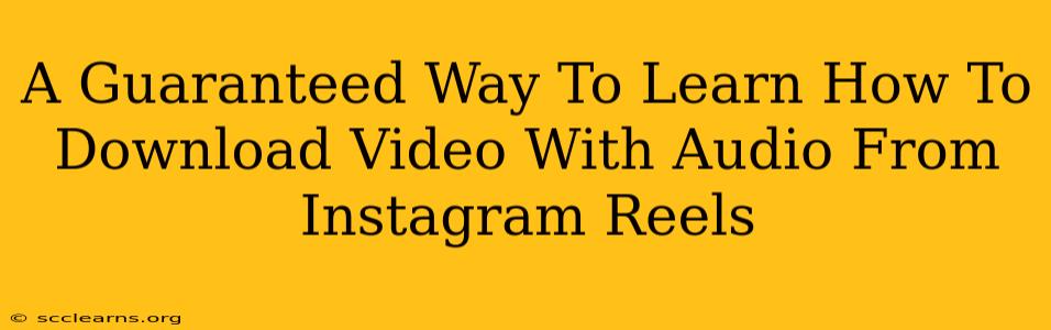 A Guaranteed Way To Learn How To Download Video With Audio From Instagram Reels