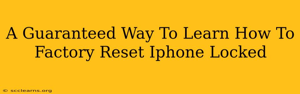 A Guaranteed Way To Learn How To Factory Reset Iphone Locked